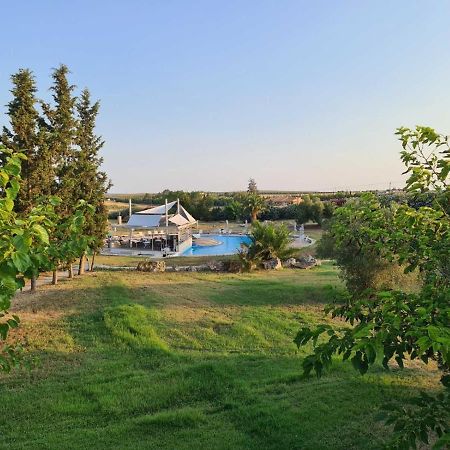 Janis Seaview Villa Néa Fókaia Buitenkant foto